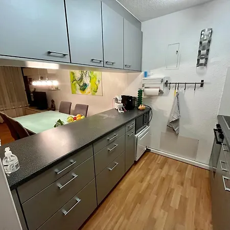3 Zi Terrassenwohnung Nahe Skigebiet Pizol * Valens
